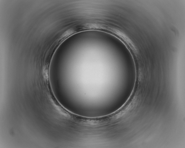 X0000113001241200908271340