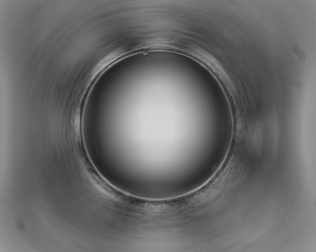 X0000113001242200908271340