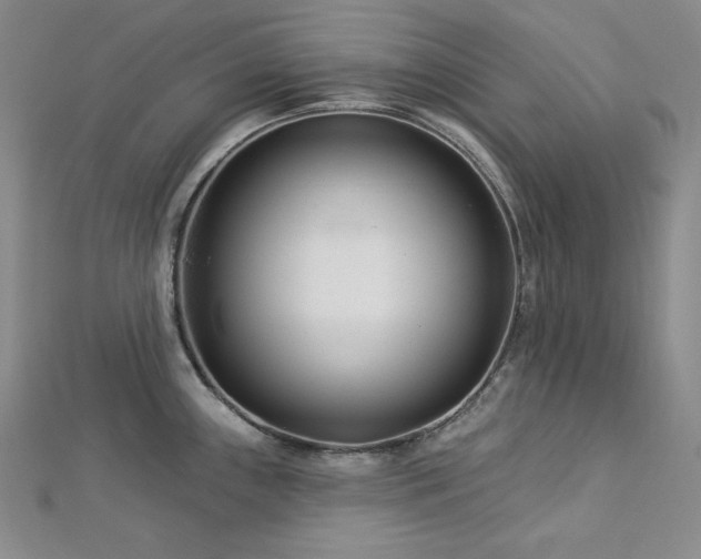 X0000113001243200908271340