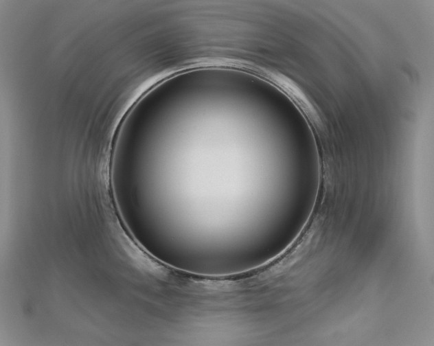 X0000113001244200908271340
