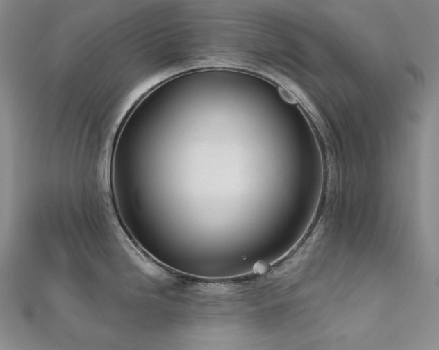 X0000113001246200908271340