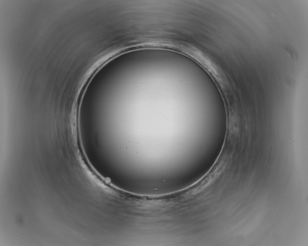 X0000113001247200908271340
