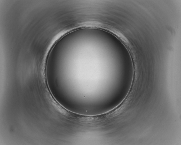 X0000113001248200908271340