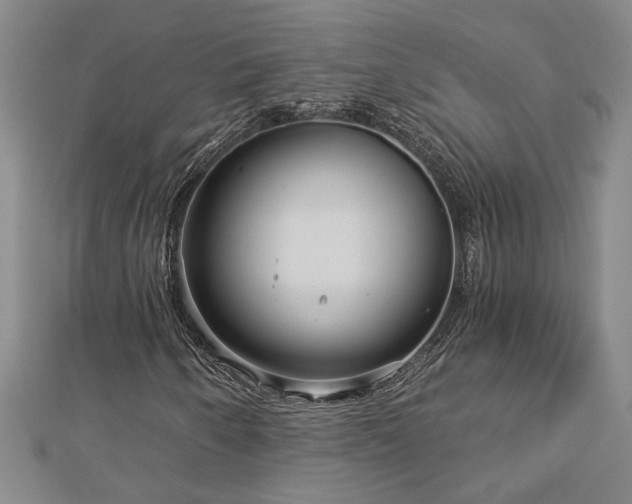 X0000113001250200908271339