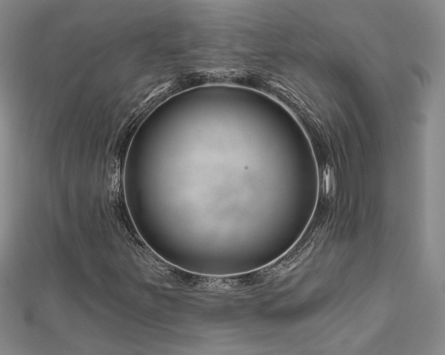 X0000113001251200908271339