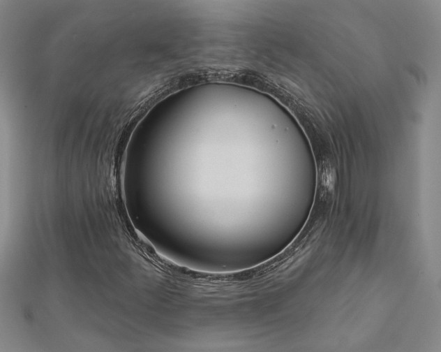 X0000113001252200908271339
