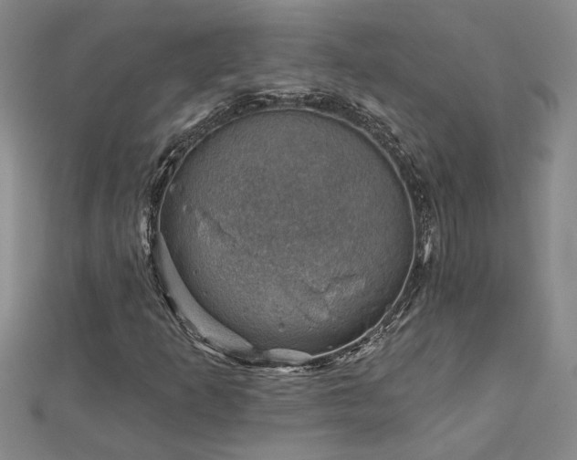 X0000113001253200908271339