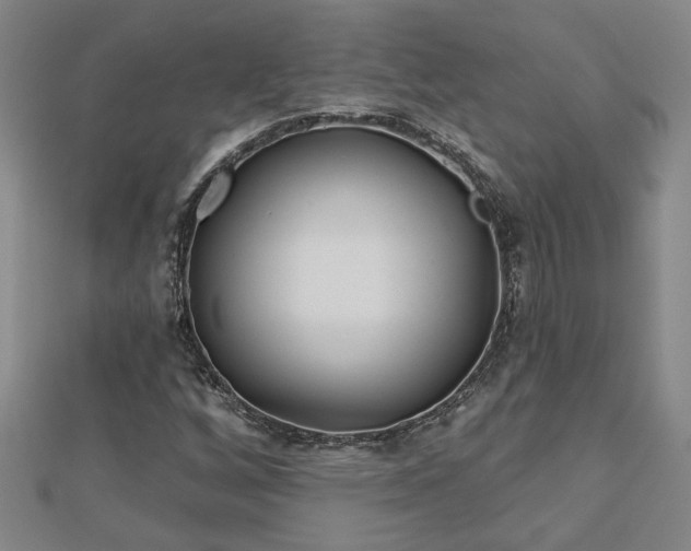 X0000113001256200908271339