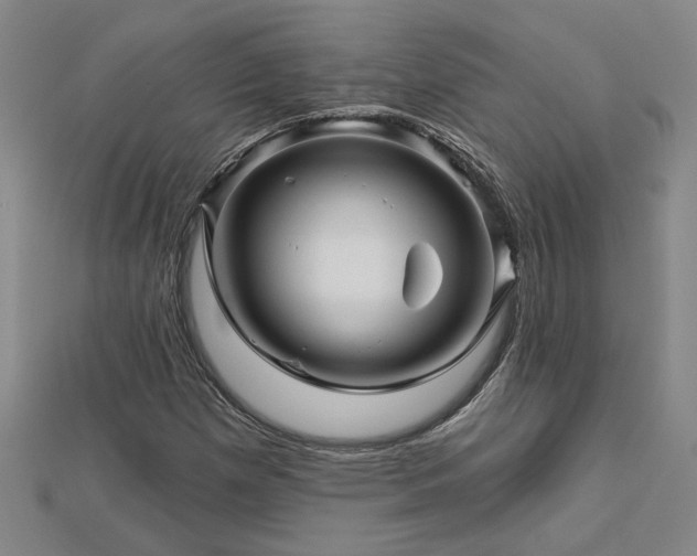 X0000113001257200908271339