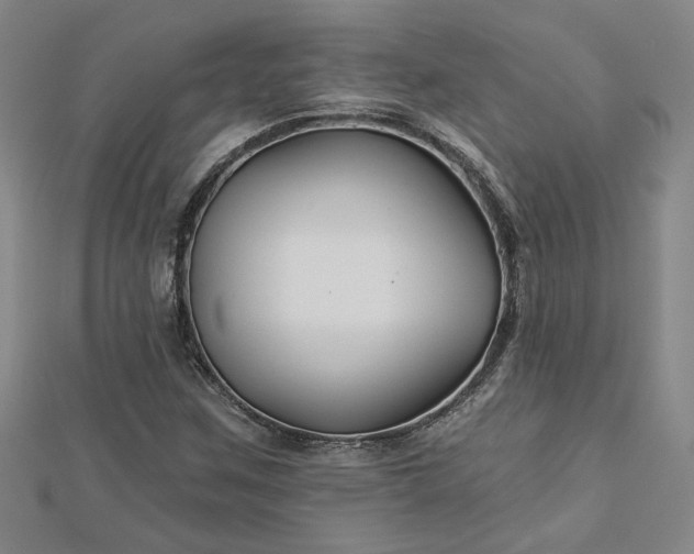 X0000113001259200908271339
