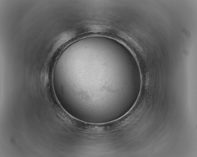 X0000113001261200908271339
