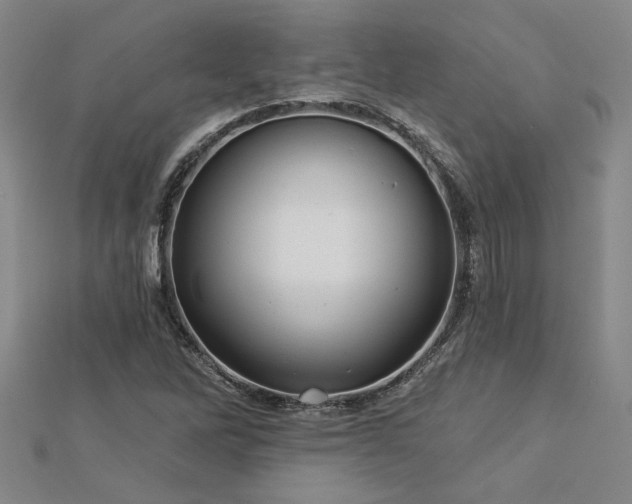 X0000113001262200908271339