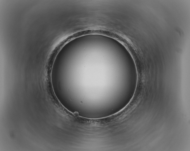 X0000113001263200908271339