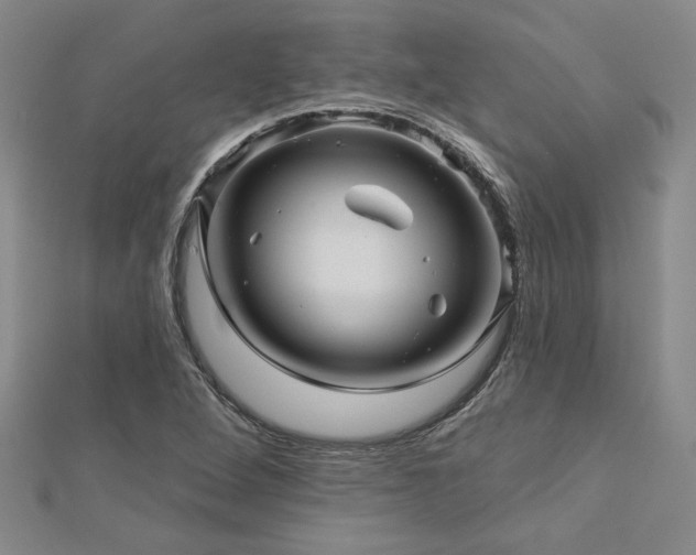 X0000113001264200908271339