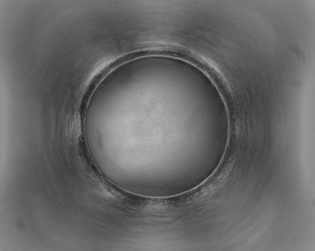 X0000113001267200908271339