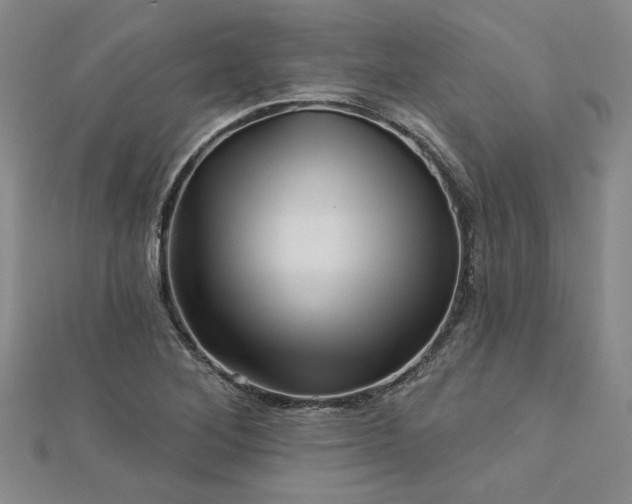 X0000113001268200908271339