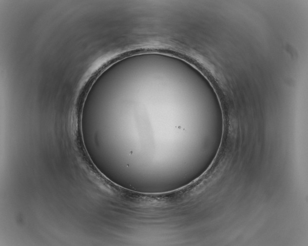 X0000113001270200908271339