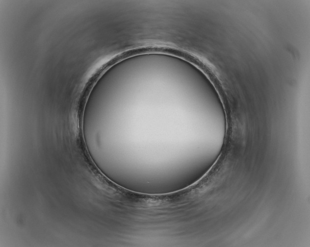 X0000113001271200908271339