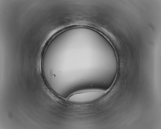 X0000113001272200908271339