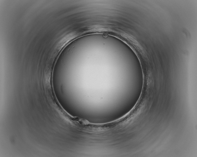 X0000113001273200908271339