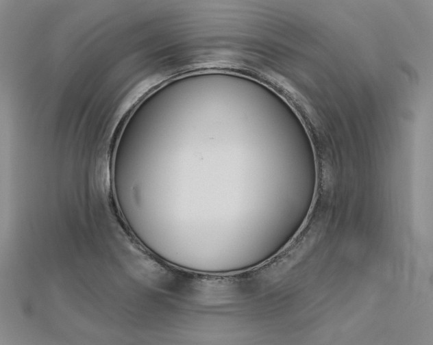 X0000113001274200908271339
