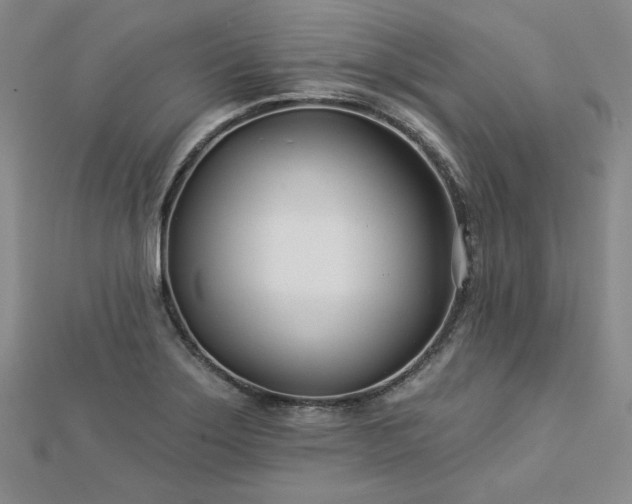 X0000113001275200908271339