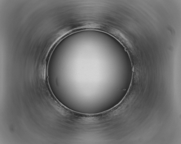 X0000113001276200908271339