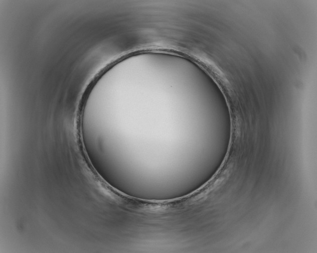 X0000113001278200908271339