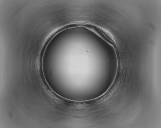 X0000113001279200908271339