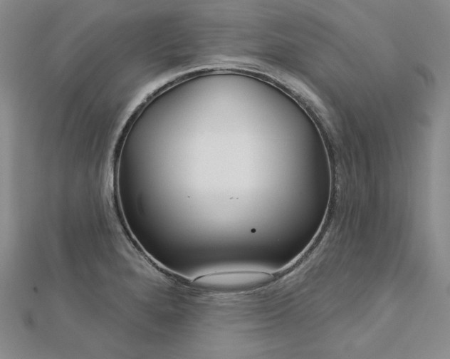 X0000113001280200908271339