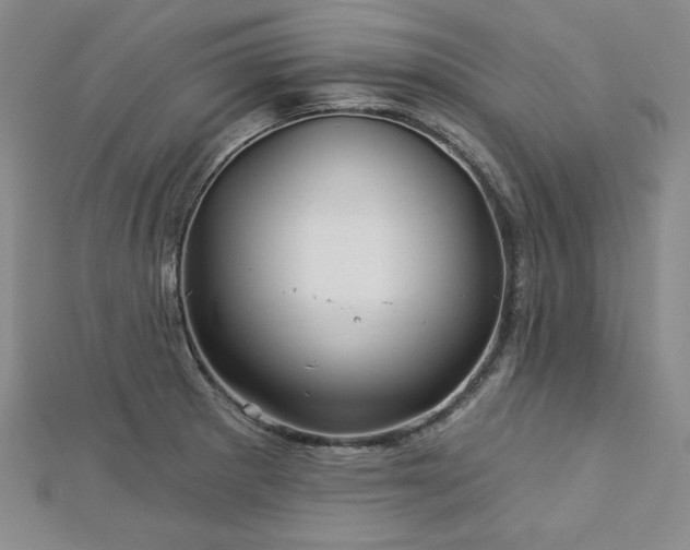 X0000113001281200908271339