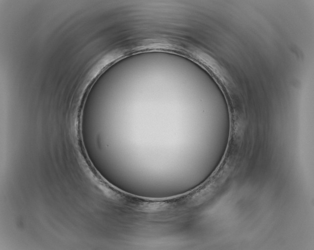 X0000113001282200908271339