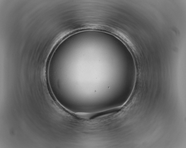 X0000113001283200908271339