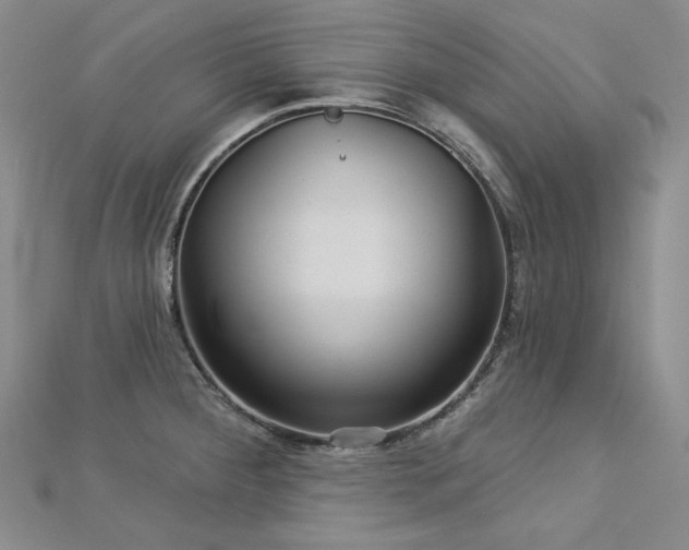 X0000113001284200908271339