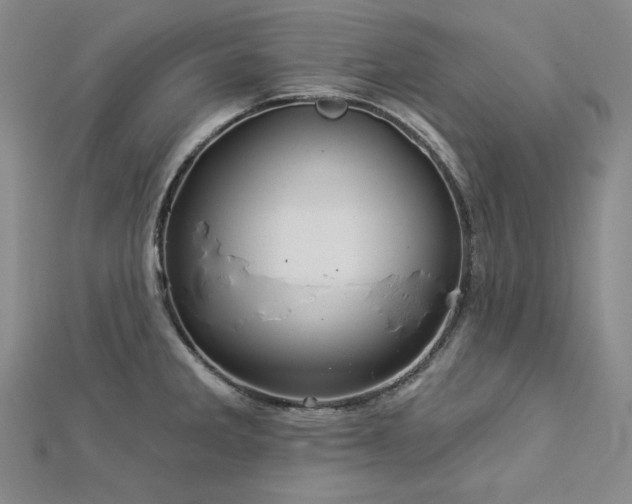 X0000113001285200908271339