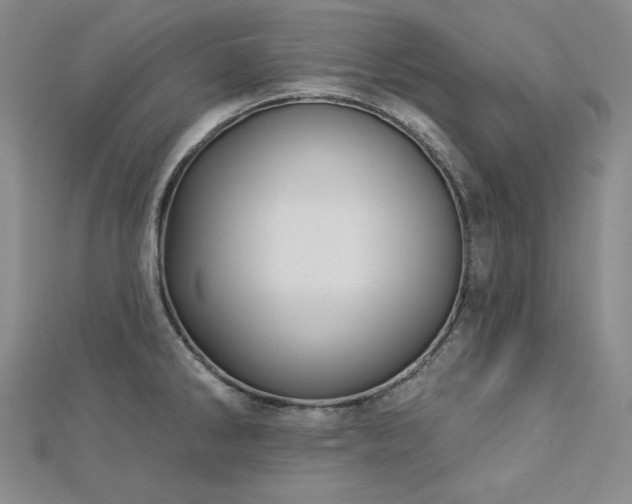 X0000113001286200908271339