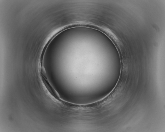 X0000113001287200908271339