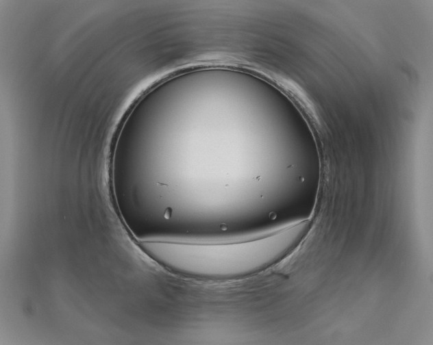 X0000113001288200908271339