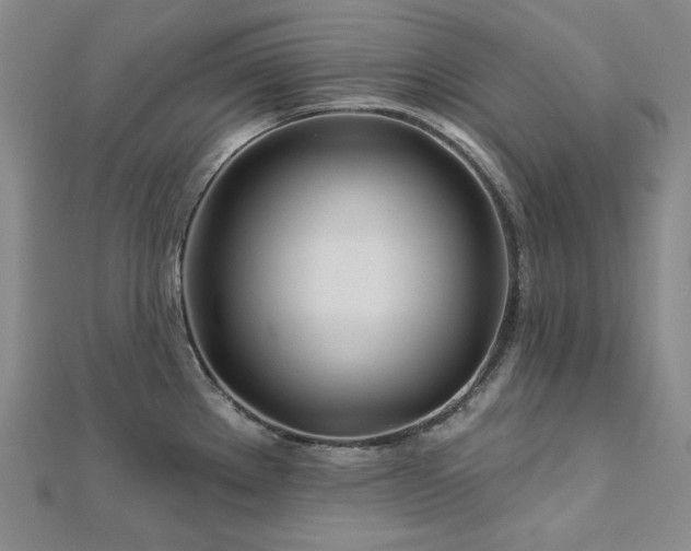 X0000113001289200908271339