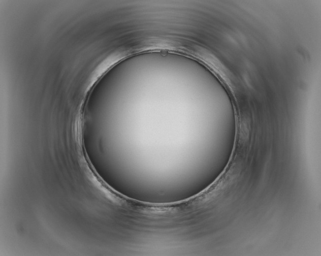 X0000113001290200908271339
