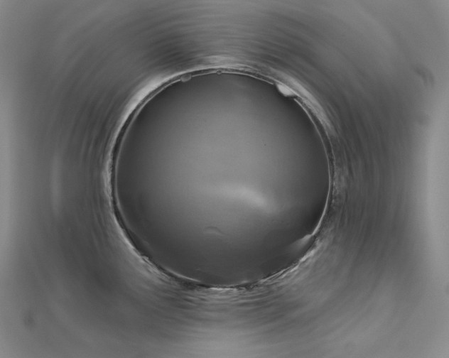 X0000113001291200908271339