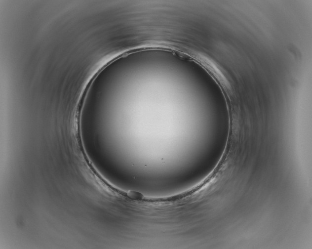 X0000113001292200908271339