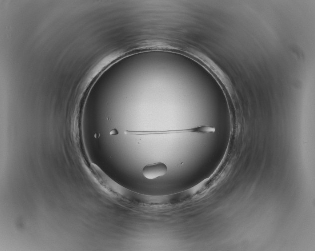 X0000113001293200908271339