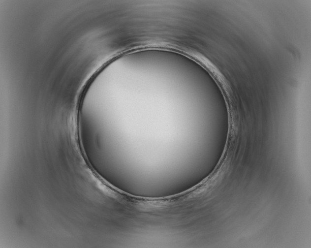 X0000113001294200908271339