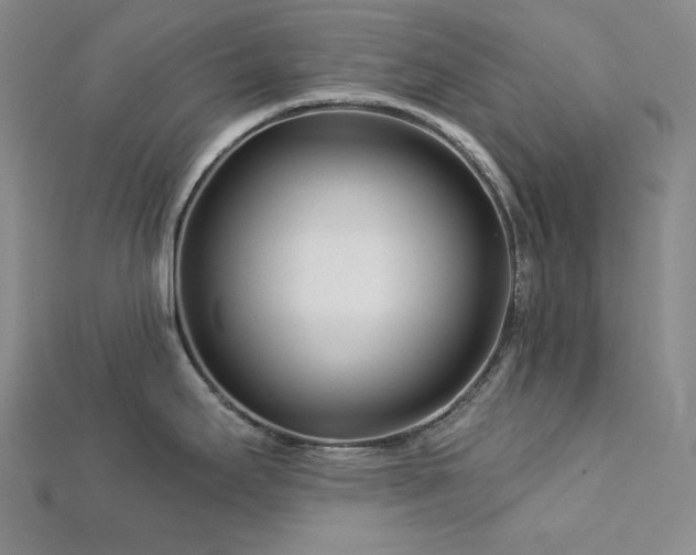 X0000113001295200908271339