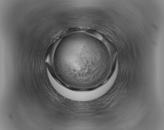 X0000113001298200908271338
