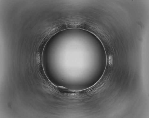 X0000113001299200908271338