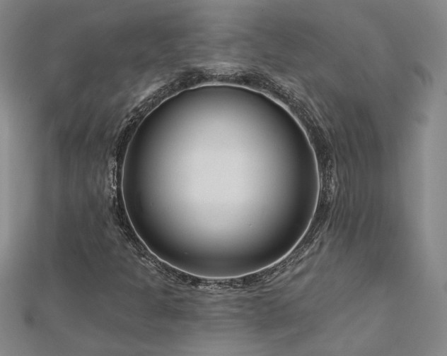 X0000113001301200908271338