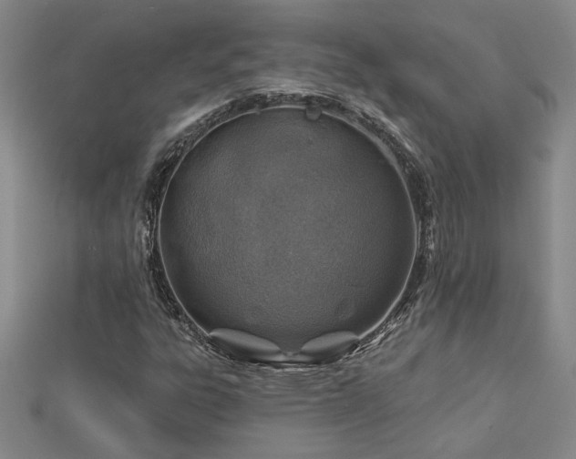X0000113001303200908271338