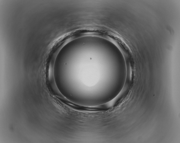 X0000113001304200908271338